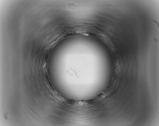 X0000103300329200808291136
