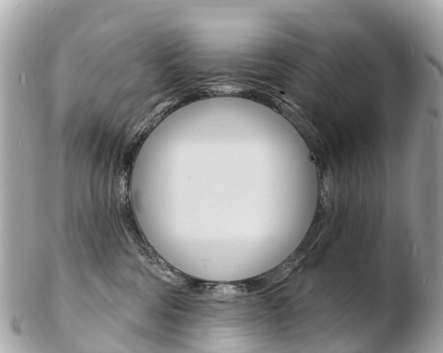 X0000103300330200808291136