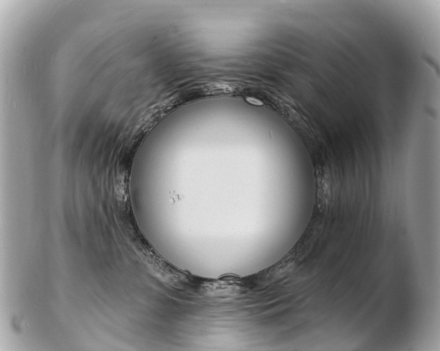 X0000103300331200808291136