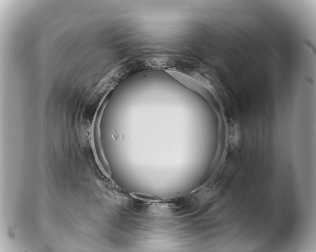 X0000103300332200808291136