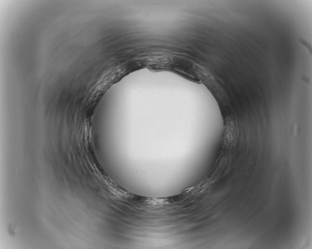 X0000103300333200808291136
