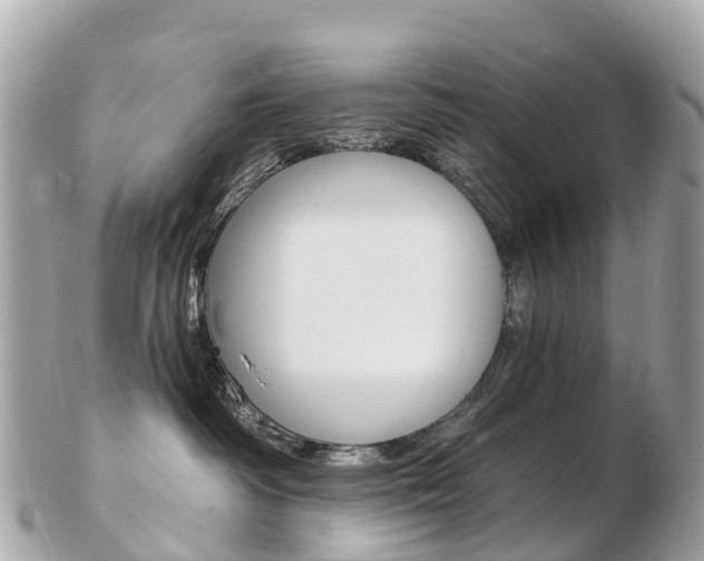X0000103300334200808291136