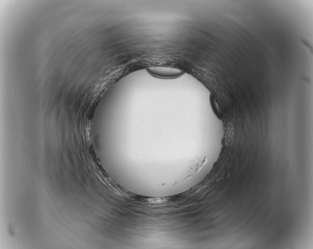 X0000103300335200808291136