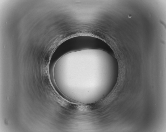 X0000103300336200808291136