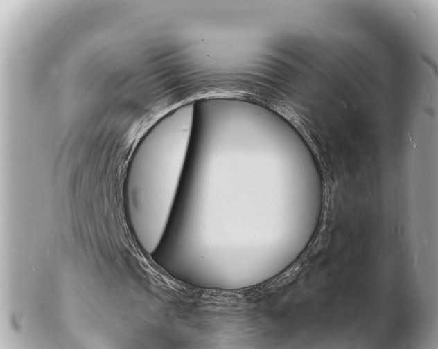 X0000103300337200808291135