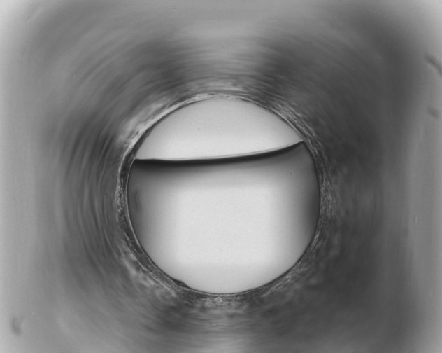 X0000103300338200808291135