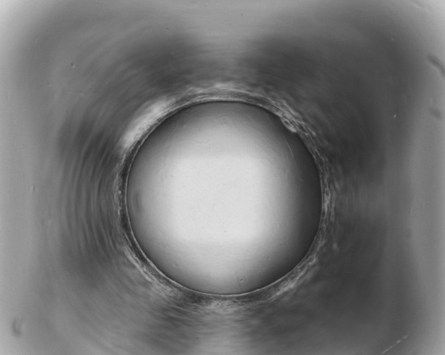 X0000103300341200808291135
