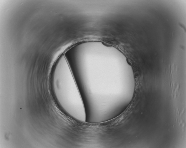 X0000103300342200808291135