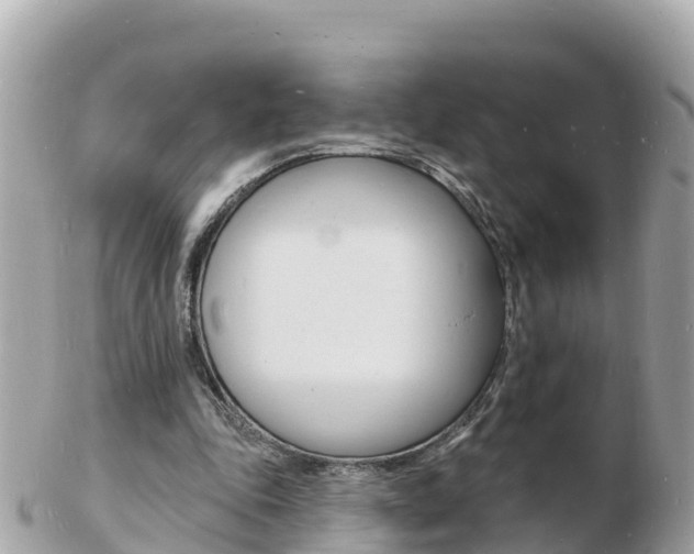 X0000103300343200808291135