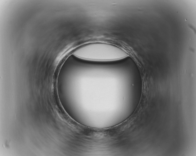 X0000103300344200808291135