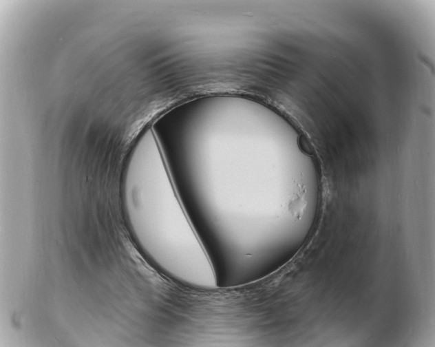 X0000103300345200808291135