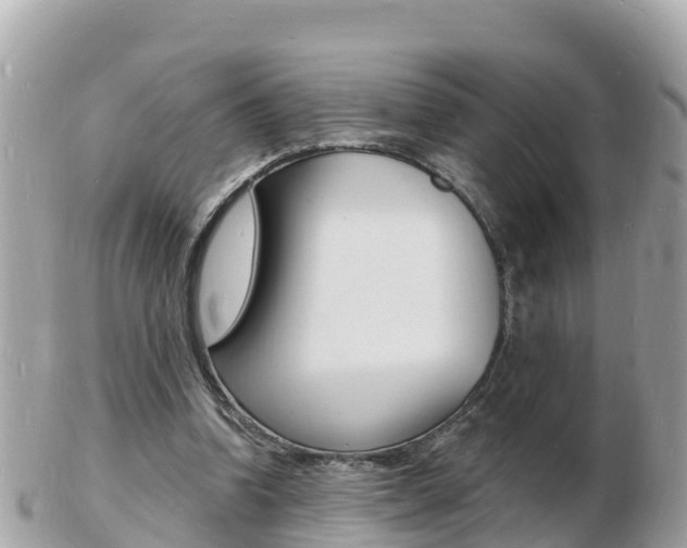 X0000103300346200808291135