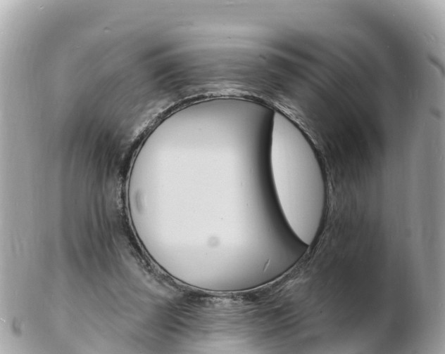 X0000103300347200808291135