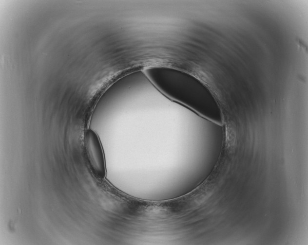 X0000103300348200808291135