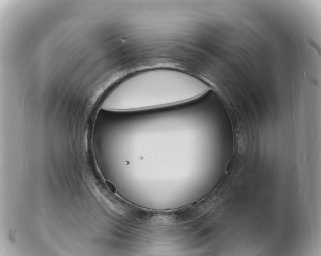 X0000103300350200808291135
