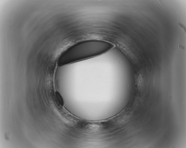 X0000103300352200808291136