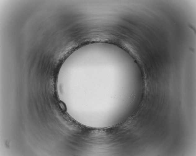 X0000103300354200808291136