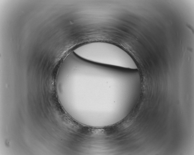 X0000103300355200808291136