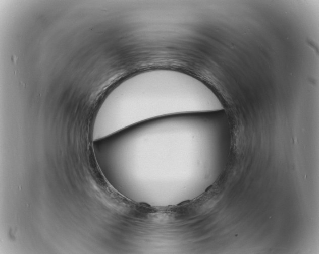 X0000103300356200808291136