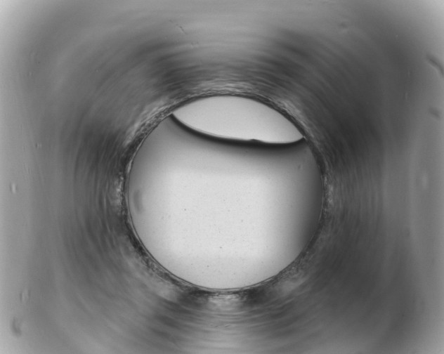 X0000103300357200808291136