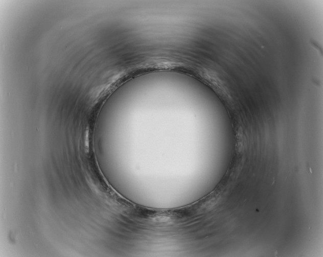X0000103300358200808291136