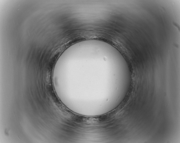 X0000103300359200808291136