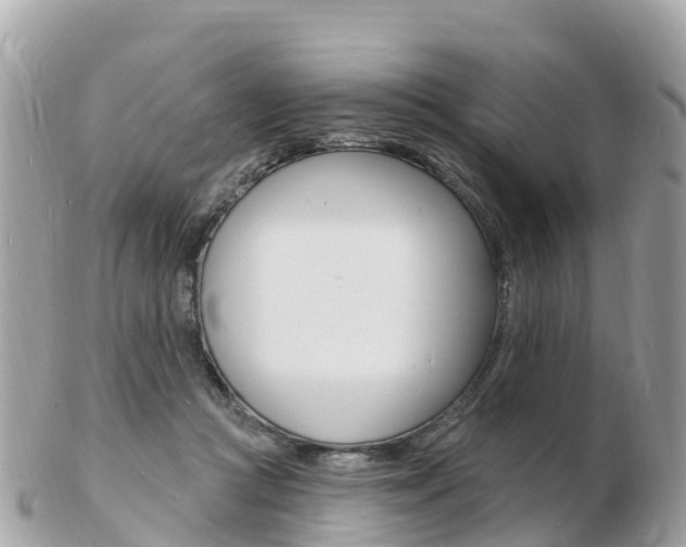 X0000103300361200808291136