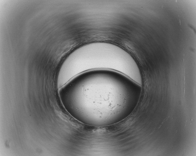X0000103300362200808291136
