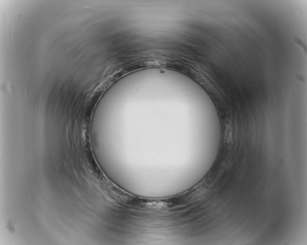 X0000103300363200808291136