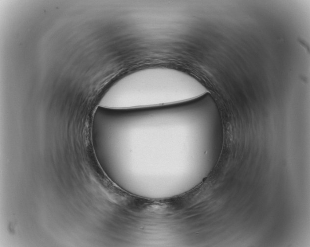 X0000103300364200808291136