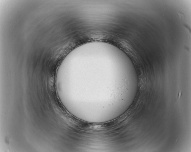 X0000103300365200808291136