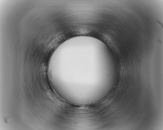 X0000103300366200808291136