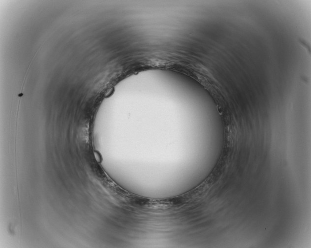 X0000103300368200808291136