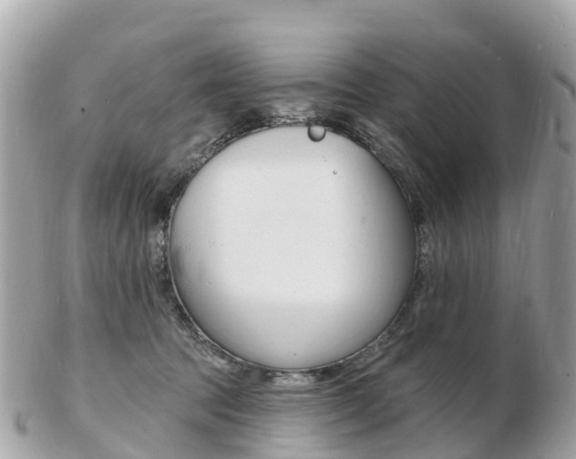 X0000103300369200808291136