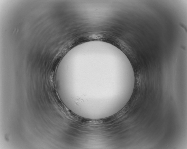 X0000103300373200808291136