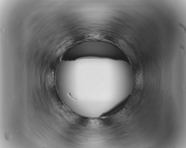 X0000103300376200808291136
