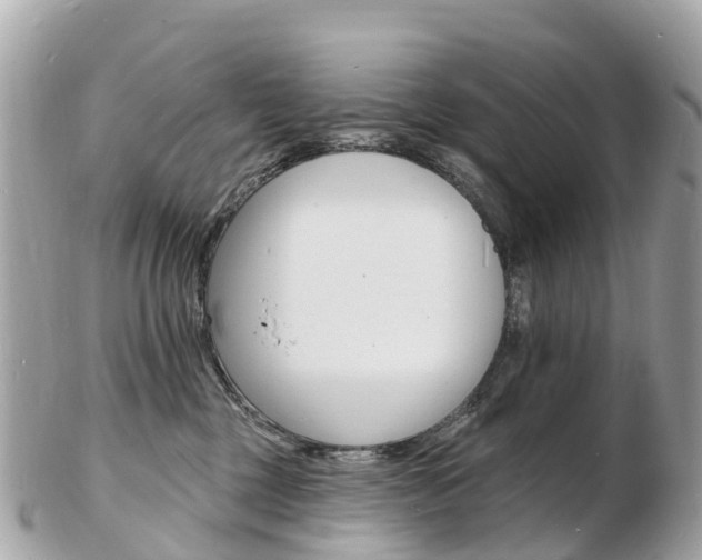 X0000103300377200808291136