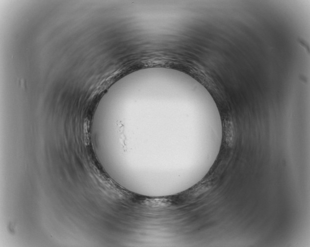 X0000103300378200808291136