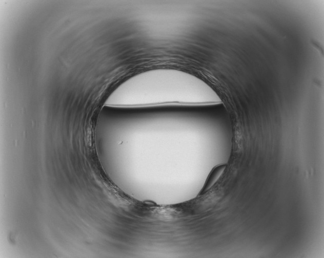 X0000103300379200808291136