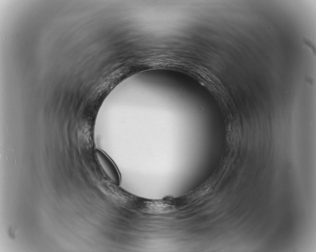 X0000103300380200808291136