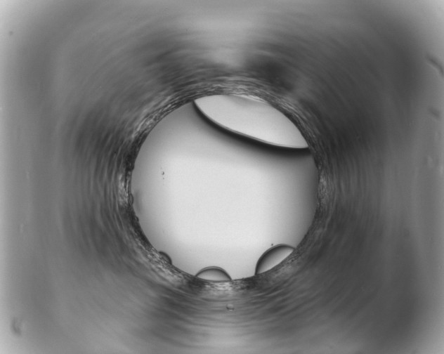 X0000103300381200808291136