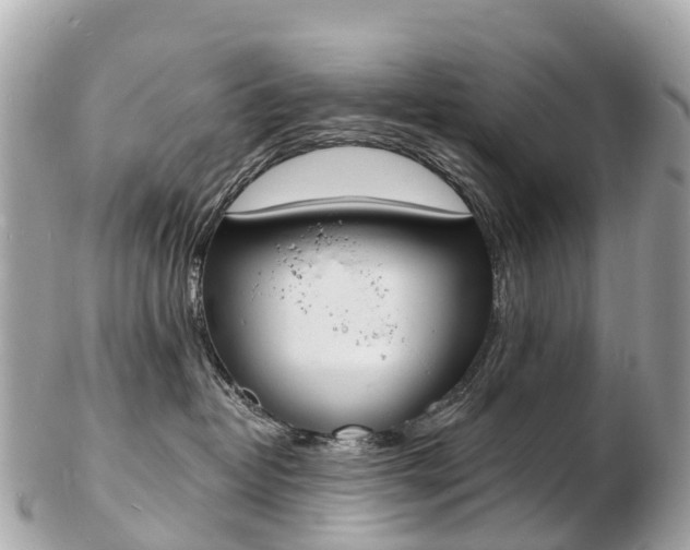 X0000103300382200808291136