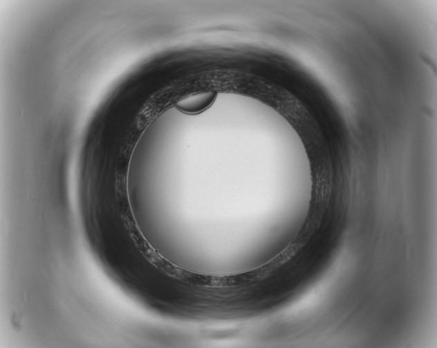 X0000103300383200808291136