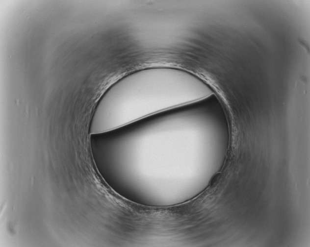 X0000103300385200808291135