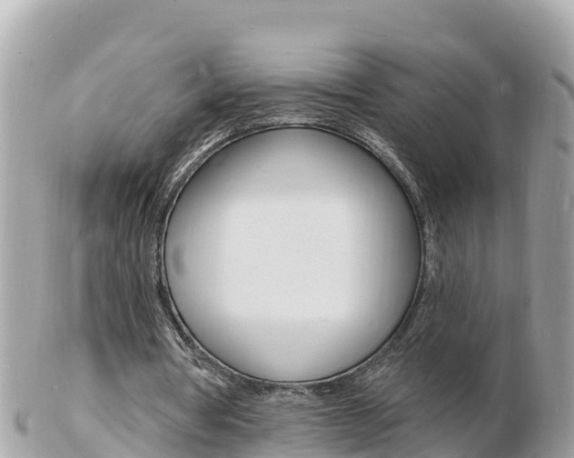 X0000103300386200808291135