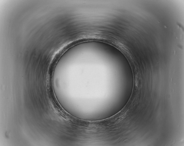 X0000103300388200808291135