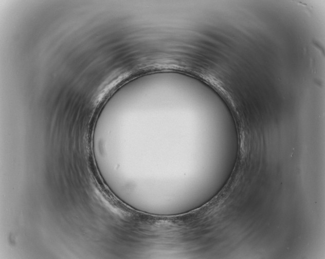 X0000103300390200808291135