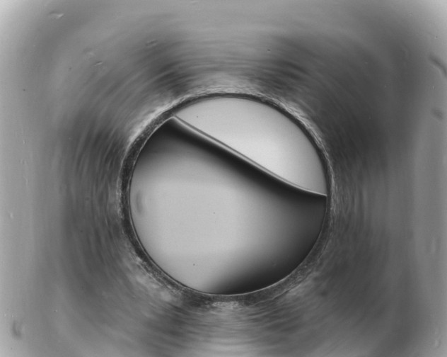 X0000103300391200808291135