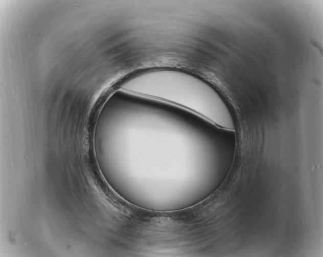 X0000103300392200808291135