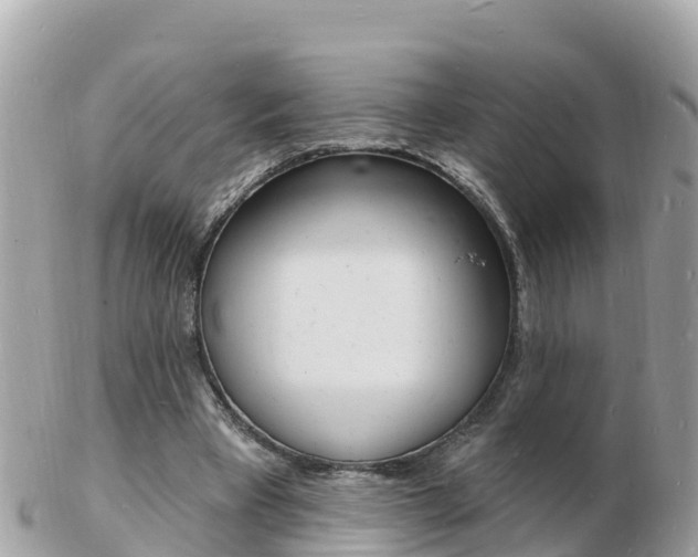 X0000103300393200808291135